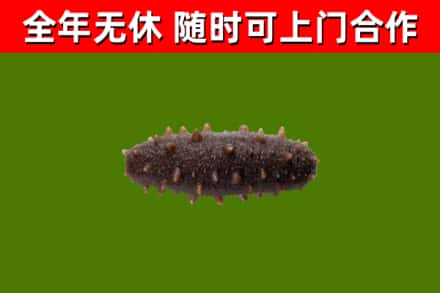 山海关区烟酒回收干海参.jpg